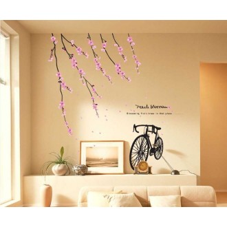 Peach blossom and Bicycle